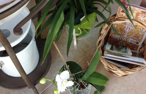 Corte Motte - Photo 59