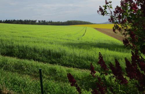 ZEIT für DICH - Foto 40