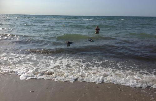 Ferienhaus Dierhagen Strand I & II - Foto 12