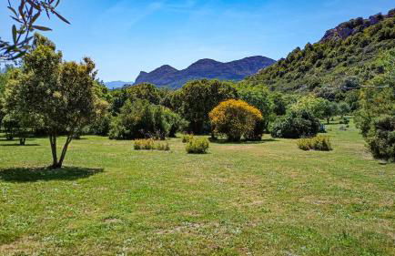 Les jardins de Foata - Foto 66