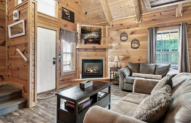 Bearly Gnomey - Foto 17