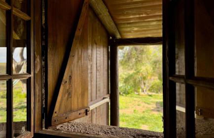 Alojamento Casas da Serra - Foto 6