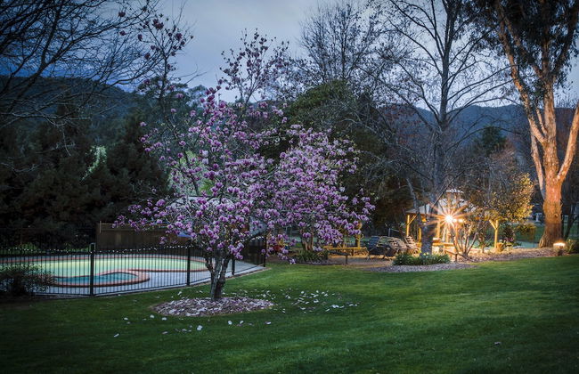 Bright Mystic Valley - Foto 28