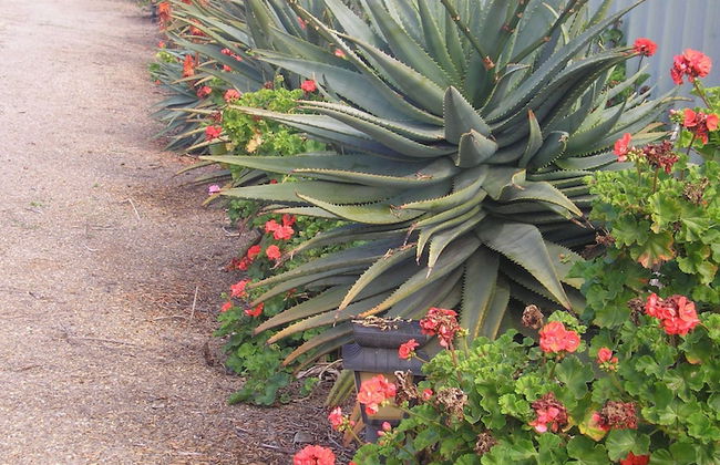 Moonta Bay Accommodation - Foto 31