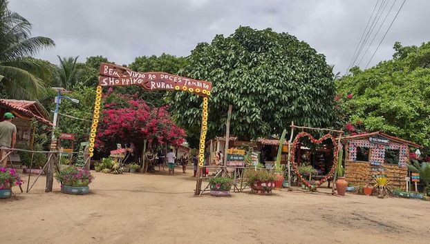 Buggy Tour Along the South Coast of Paraíba - Foto 3