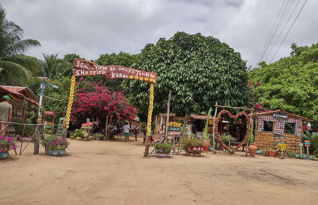Tour della costa meridionale del Paraíba in buggy - Foto 3