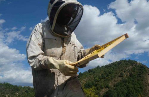 Casa Jaumet: un lloc de pau on escoltar el silenci - Foto 23