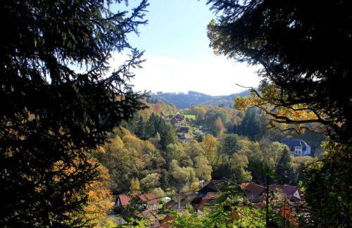 Ferienwohnungen mit Wellnessoase in Thale OT Altenbrak - Foto 35