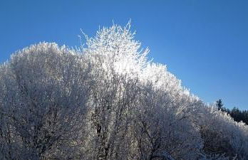Ferienwohnung GABI - Foto 19