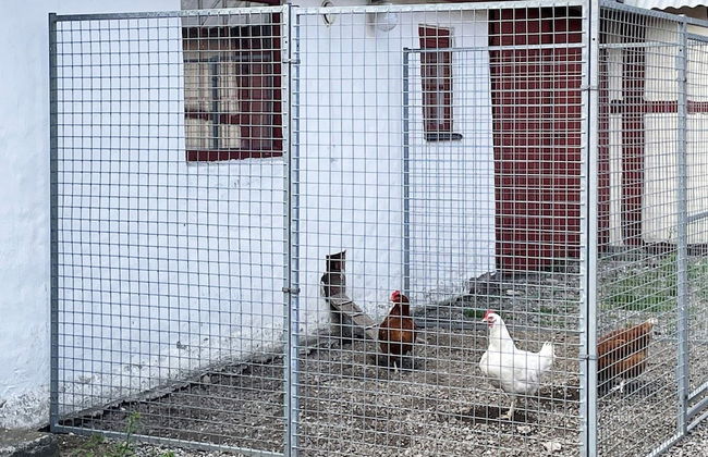 4 Person Holiday Home in Lovestad - Foto 6