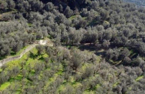 Il Nido di Cristina - Foto 34