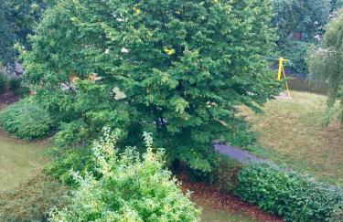 List-vahrenwalder - Foto 17