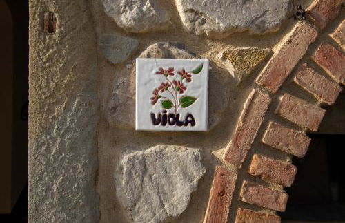 Antico Fio - Foto 14