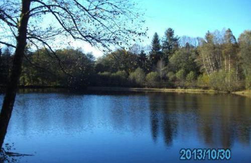 Gîte paisible dans ancienne ferme comtoise avec animaux acceptés - FR-1-583-416 - Foto 31
