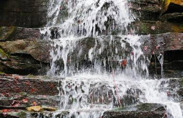 Willa Maja Bieszczady noclegi Bieszczady - Foto 51