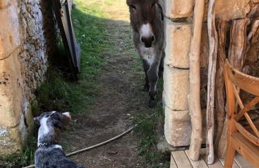 la meyrolette - Foto 5