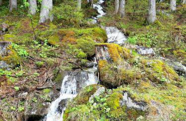 Sul cucuzzolo - Foto 65