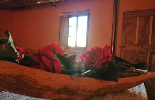 La Giuncaia - Photo 24