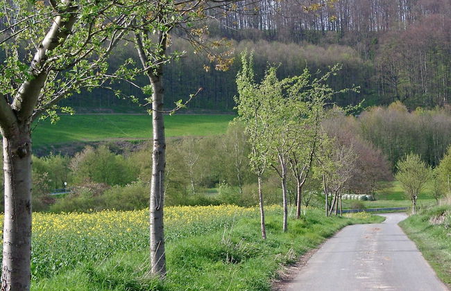 Ferienhaus in Lichtenau am Teutoburger Wald - Foto 24