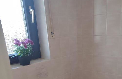 Rheinuferhaus - Foto 33