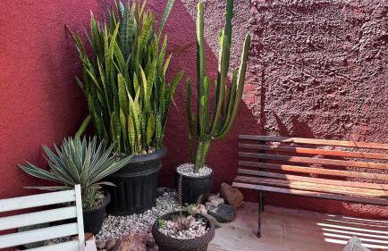 Villa do Aconchego - Casa Decorada para até 6p - Próxima ao Centro - Churrasqueira - Foto 30