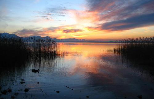 Beim Paulfischer - Eckbankerl - Foto 16