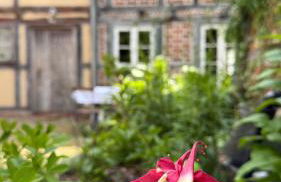 Ferienhaus St. Johannis - Photo 8