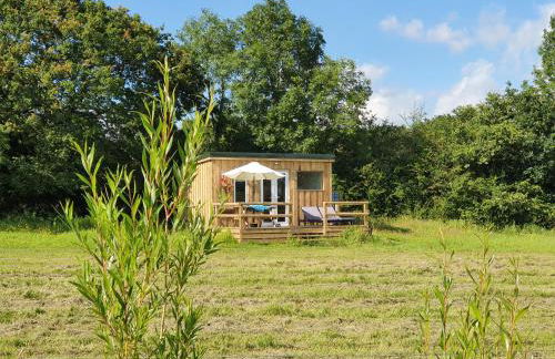 Dartmoor Reach Alpaca Farm - Foto 10