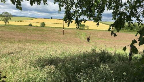 Swinton Manse & Gardens - Foto 4