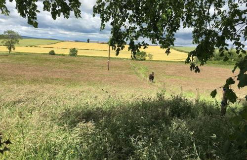 Swinton Manse & Gardens - Foto 4