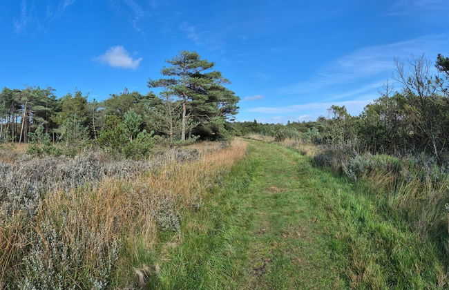 12 Person Holiday Home in Romo - Foto 6