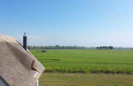 Reetdachhäuser am Bakenberg - Foto 22