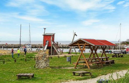 Seeschwalbe - Foto 28