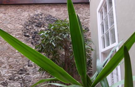 La Casa de Vegueta - Photo 19