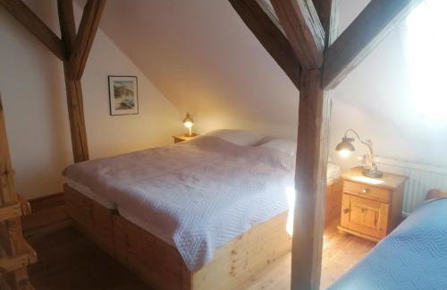 Boddenhus auf Rügen - Ferienwohnungen und Pension - Foto 45