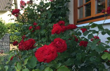 Ferienwohnung Störblick Schwerin - Foto 3