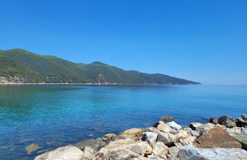 Cosy house Stratoni Chalkidiki 300m from beach - Foto 24