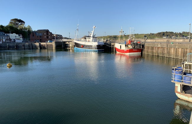 The Padstow Cottage - Coswarth House - Foto 13