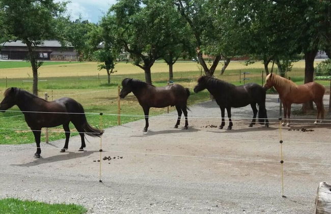 1 Fuchskreuzhof Comfortable Holiday Residence - Foto 24