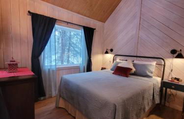 Denali Wild Stay - Muskrat cabin, private, free wifi, free parking, sleep 4 - Foto 1