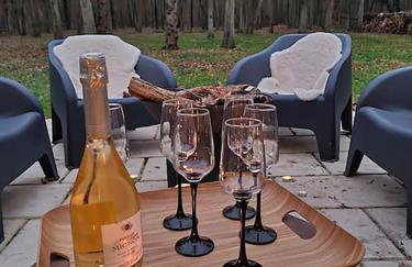 NALAN Godvicien, Spa, piscine chauffée, forêt, 14 pers - Foto 9