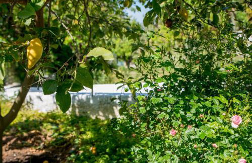 ILIOCHARI sea view apartments Oropos - Kalamos - Foto 35