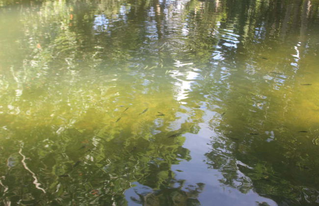 Excursion aux Jardins de Hershey à moto - Photo 8