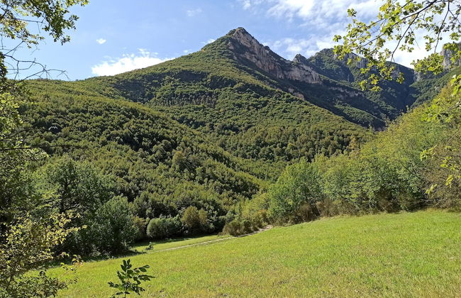 Saecula Natural Village Experience - Foto 63