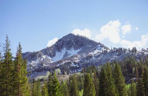 Powder Hound 1 Bedroom Brighton Chalet - Foto 21