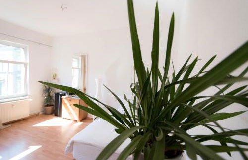 Wohnung Peter - Foto 23