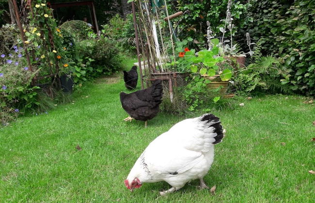 der Englische Garten - Photo 19