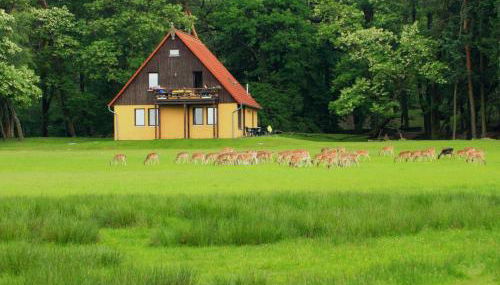Wildpark Johannismühle - Foto 1, Garden