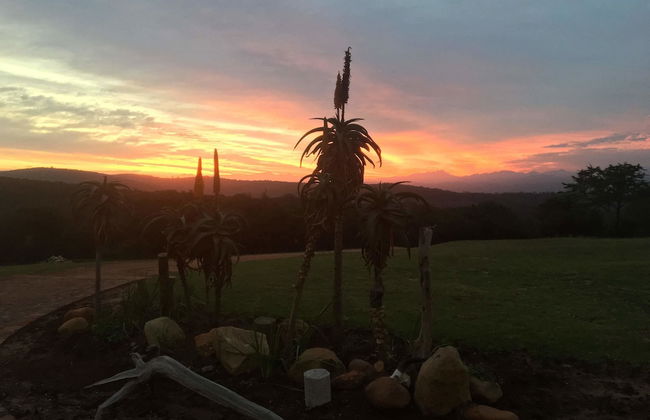 JBay Zebra Lodge - Photo 71