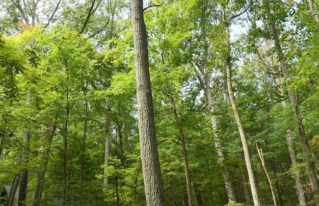 Haven Home - Foto 23